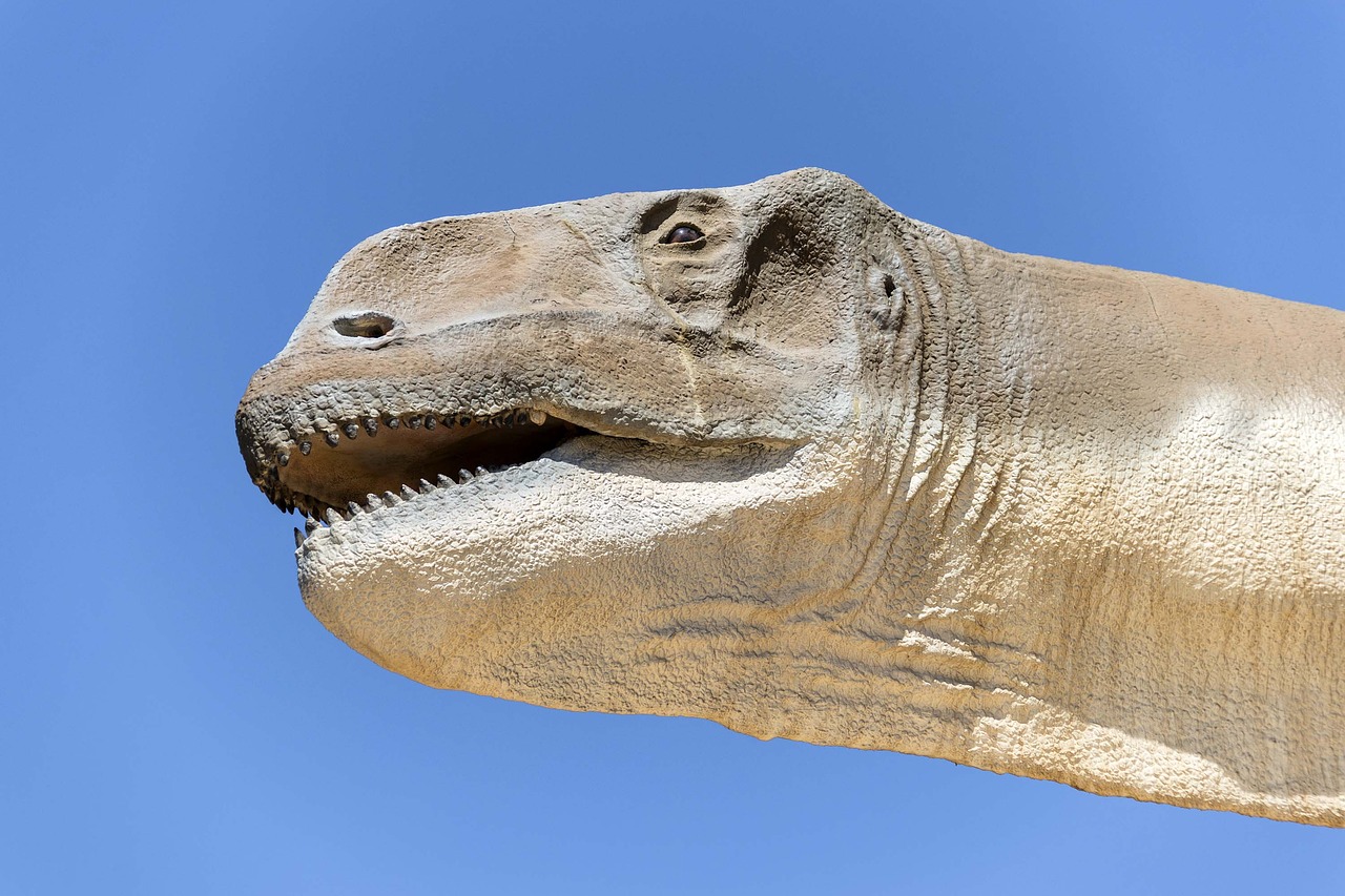 Kop van een sauropode dinosaurus